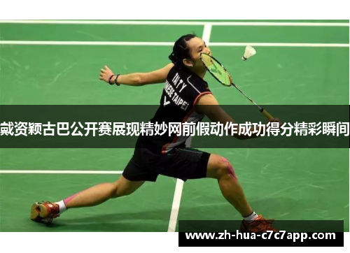 戴资颖古巴公开赛展现精妙网前假动作成功得分精彩瞬间