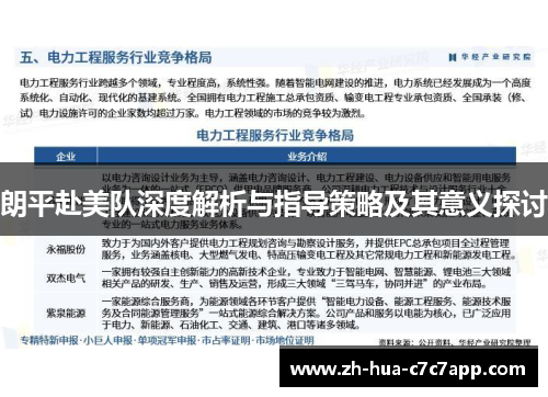 朗平赴美队深度解析与指导策略及其意义探讨